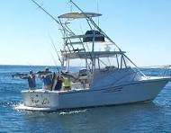Premium Listing Boat image